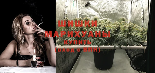 МДПВ Новозыбков