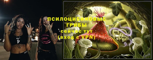 МДПВ Новозыбков